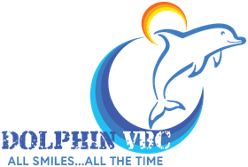 Dolphin Volleyball Club banner logo