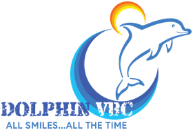 Dolphin Volleyball Club banner logo
